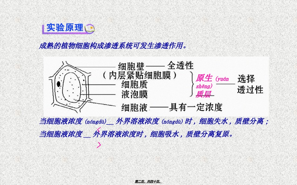 2022年医学专题—必修1探究植物细胞的吸水和失水分解.ppt_第2页
