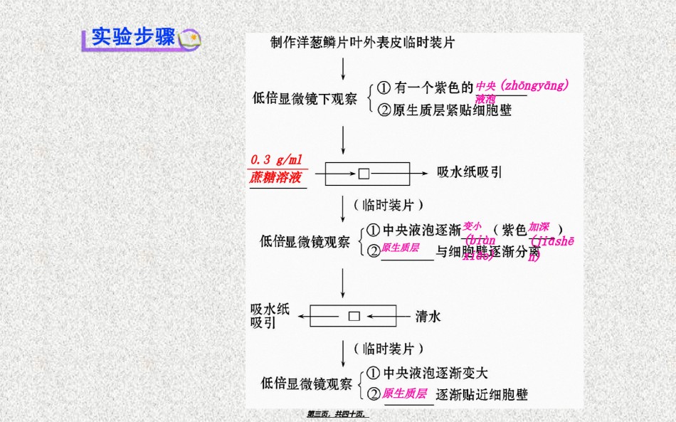 2022年医学专题—必修1探究植物细胞的吸水和失水分解.ppt_第3页