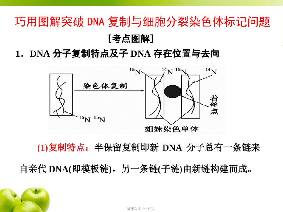 2022年医学专题—必修2第二单元第4讲-巧用图解-突破DNA复制与细胞分裂中染色体标记问题.ppt_第1页