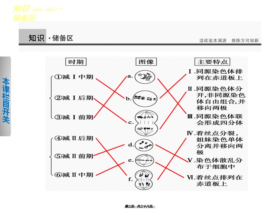 2022年医学专题—必修二2.1卵细胞的形成过程.ppt_第2页
