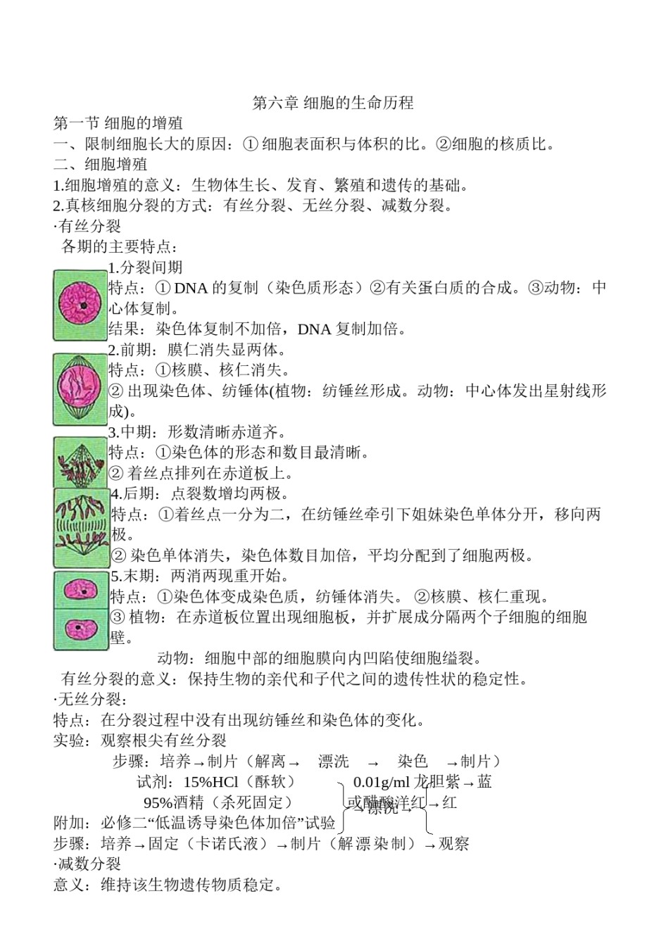 2022年医学专题—必修一-第六章-细胞的生命历程-知识点.docx_第1页