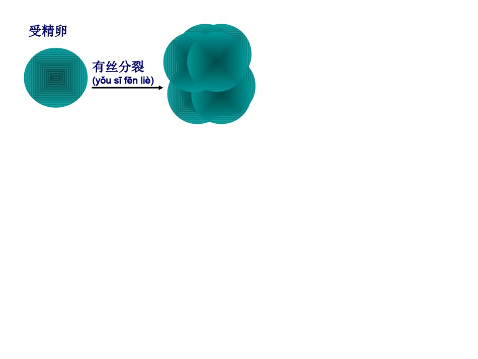 2022年医学专题—必修一.-4-2.-细胞分化、癌变、衰老和凋亡资料.ppt_第2页