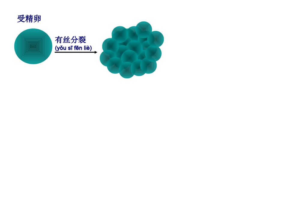 2022年医学专题—必修一.-4-2.-细胞分化、癌变、衰老和凋亡资料.ppt_第3页
