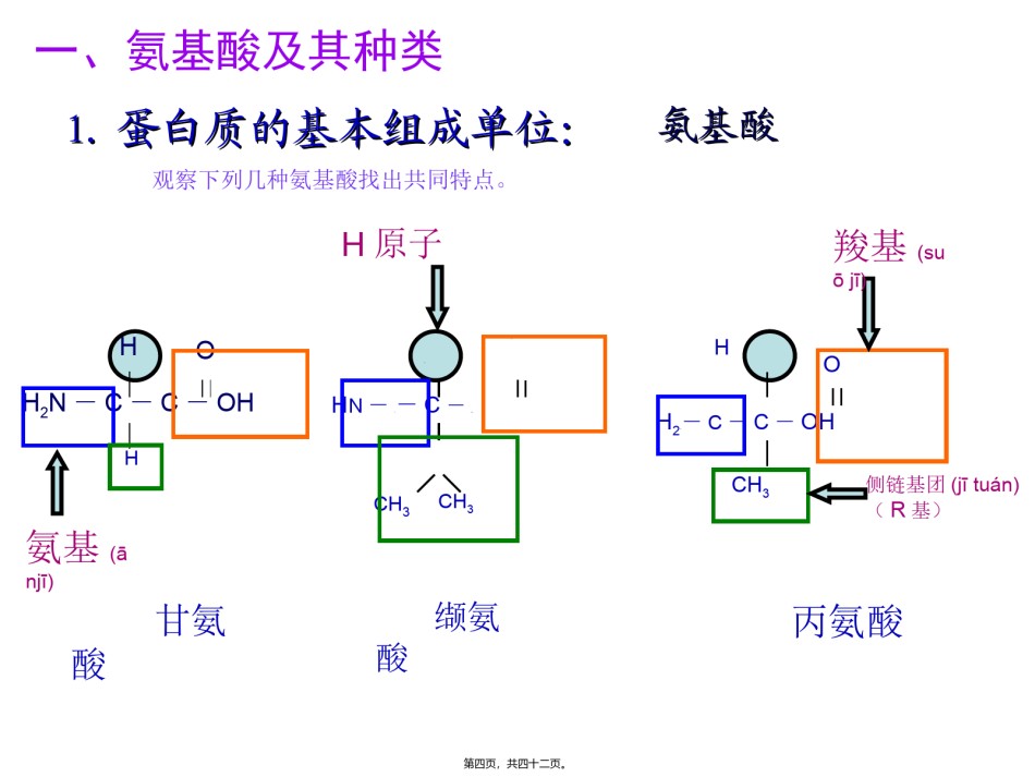 2022年医学专题—必修一2.2蛋白质-(共35张PPT).ppt_第3页