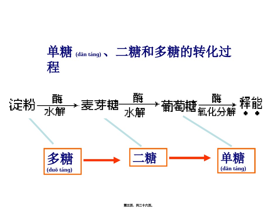 2022年医学专题—必修一2.5细胞中的无机物.ppt_第3页