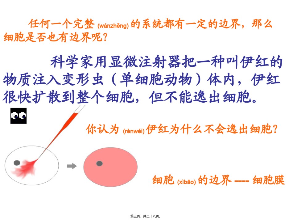 2022年医学专题—必修一31细胞膜.ppt_第3页