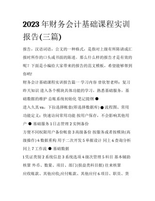 2023年财务会计基础课程实训报告(三篇)