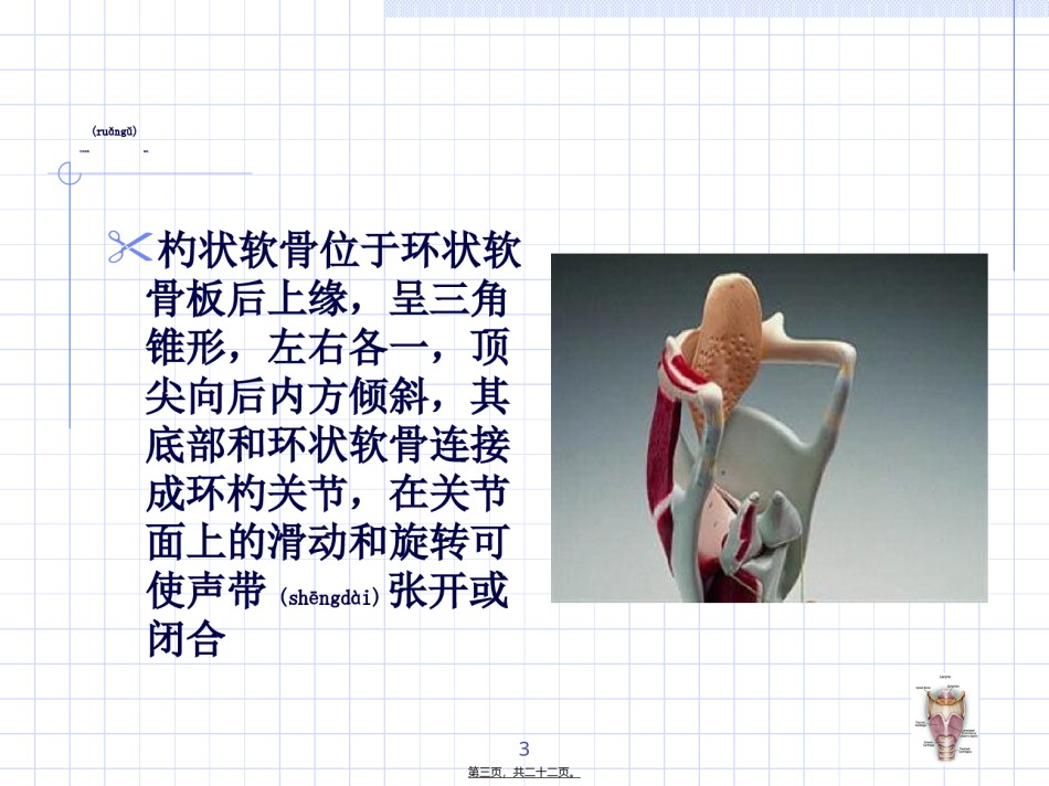2022年医学专题—杓状软骨脱原因及处理.ppt_第3页