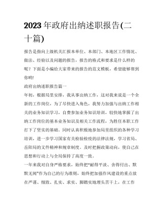 2023年政府出纳述职报告(二十篇)