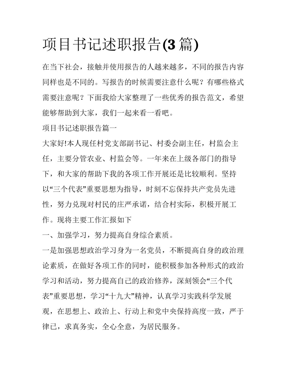 项目书记述职报告(3篇)_第1页