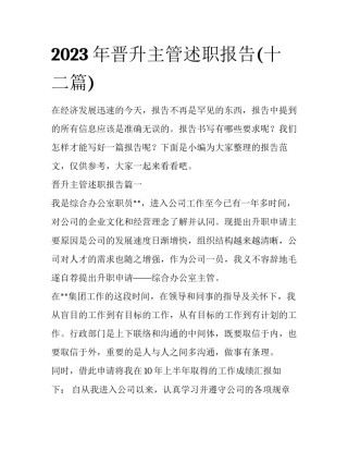 2023年晋升主管述职报告(十二篇)