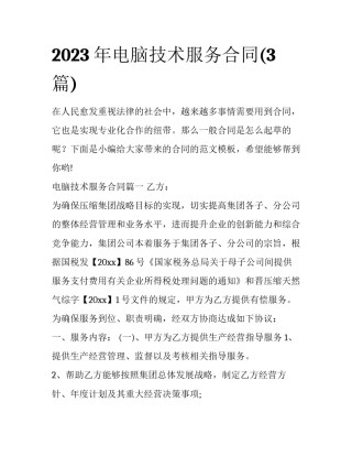 2023年电脑技术服务合同(3篇)