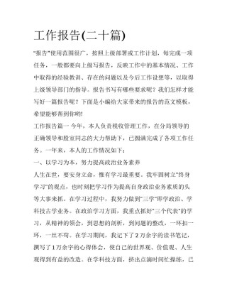 工作报告(二十篇)