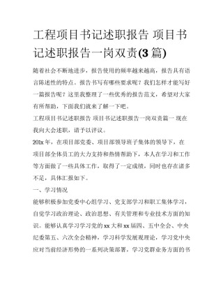 工程项目书记述职报告 项目书记述职报告一岗双责(3篇)