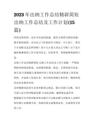 2023年出纳工作总结精辟简短 出纳工作总结及工作计划(15篇)