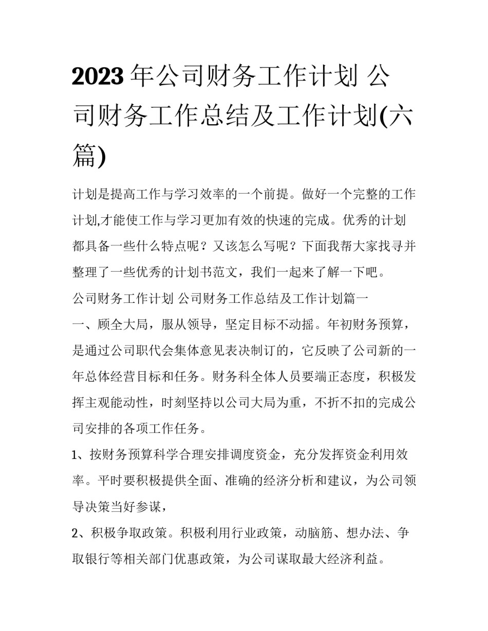 2023年公司财务工作计划 公司财务工作总结及工作计划(六篇)_第1页