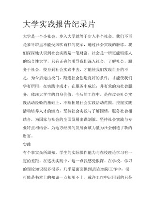 大学实践报告纪录片