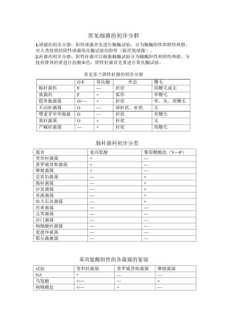 2022年医学专题—常见细菌的初步分群.docx