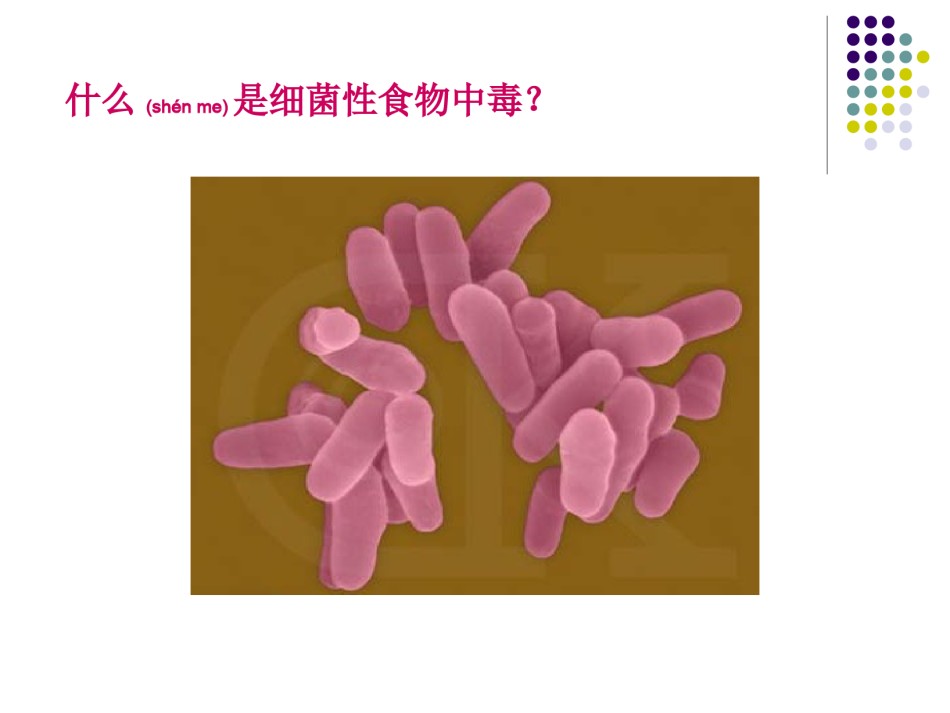 2022年医学专题—常见细菌性食物中毒.ppt_第3页