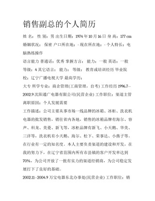 销售副总的个人简历