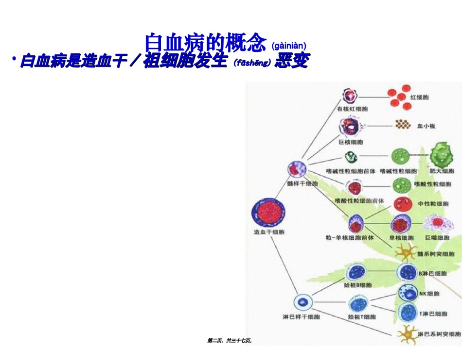 2022年医学专题—常见血液病急性白血病的MICM分型和预后.ppt_第2页