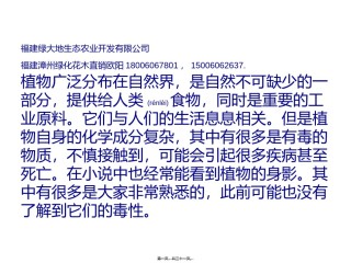 2022年医学专题—常见有毒植物.ppt