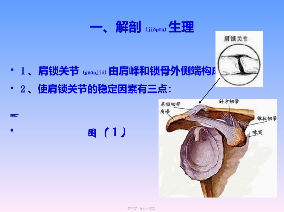 2022年医学专题—常见运动损伤2.ppt_第3页