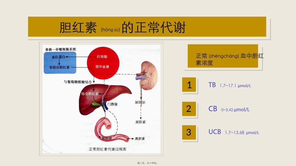2022年医学专题—常见症状——黄疸.pptx_第3页