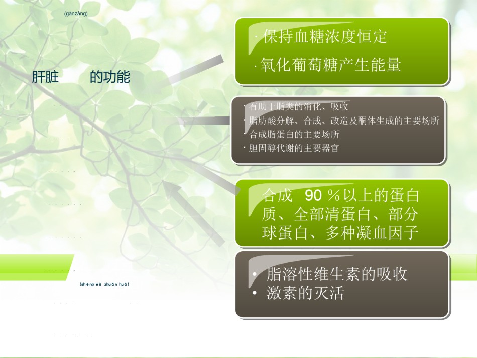 2022年医学专题—常用保肝药分类及应用.ppt_第2页