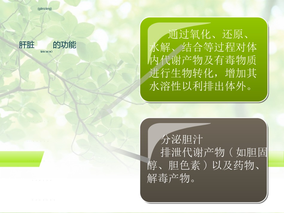 2022年医学专题—常用保肝药分类及应用.ppt_第3页