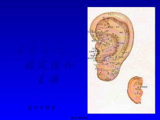 2022年医学专题—常用耳穴的定位和主治分解.ppt
