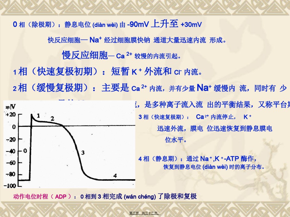 2022年医学专题—常用的抗心律失常药.ppt_第3页