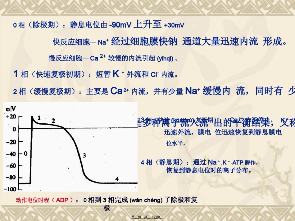 2022年医学专题—常用的抗心律失常药讲义.ppt_第3页