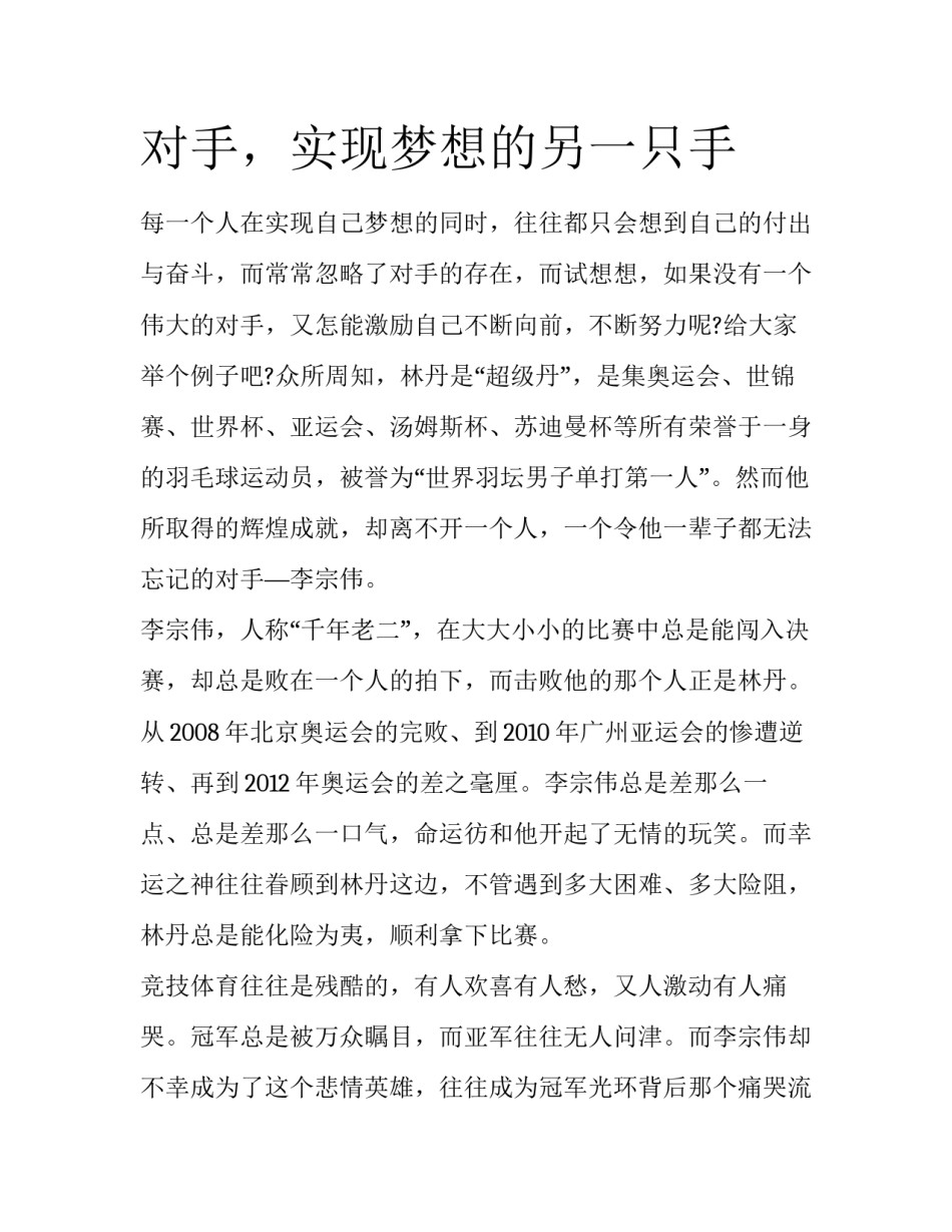 对手，实现梦想的另一只手_第1页