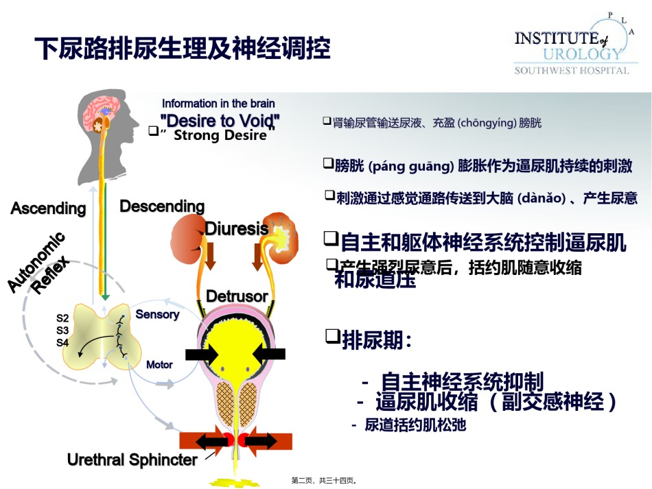 2022年医学专题—常用尿动力学检查及结果判读.ppt.ppt_第2页