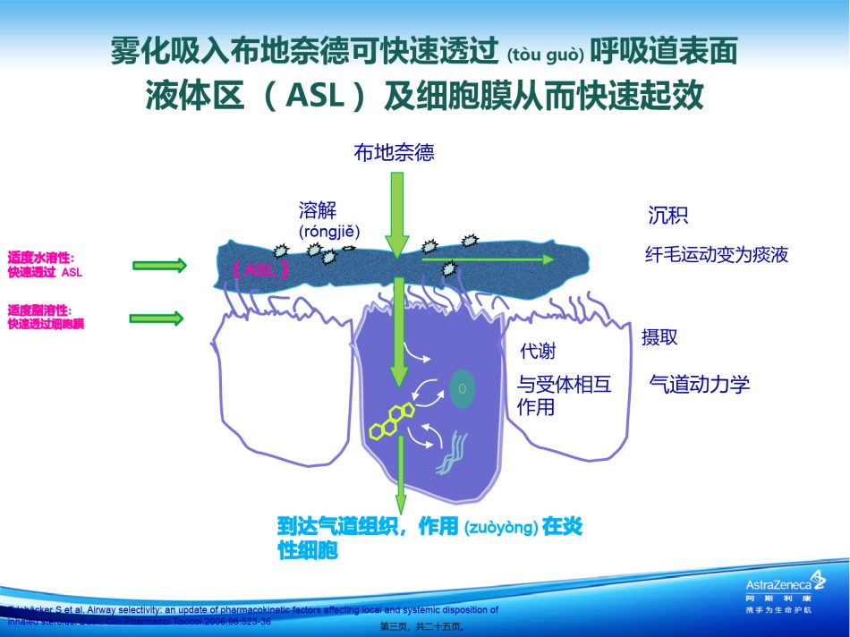 2022年医学专题—常用吸入型糖皮质激素在哮喘中的应用.pptx_第3页