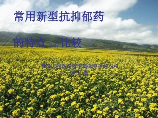 2022年医学专题—常用新型抗抑郁药的特点比较.ppt