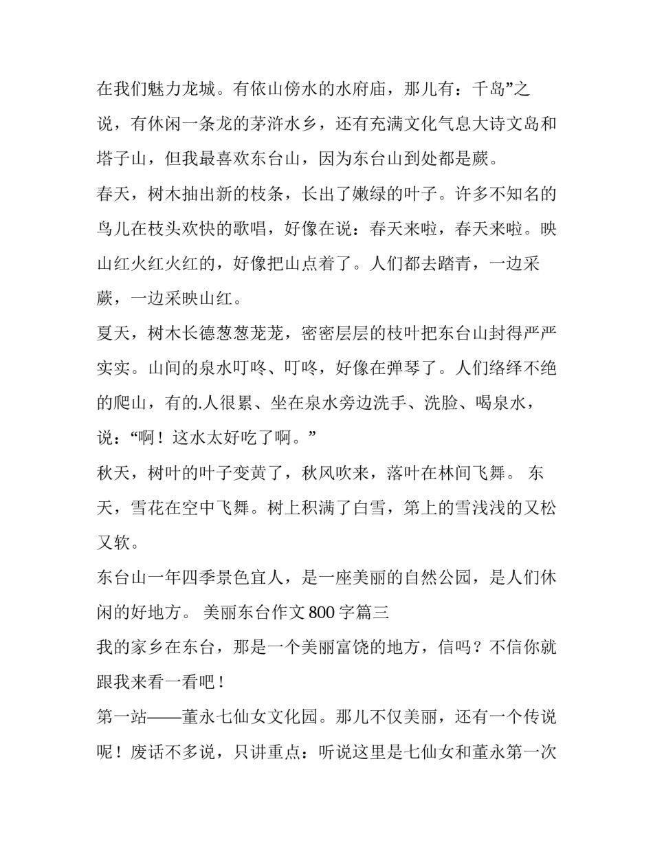 最新美丽东台作文800字(7篇)_第3页
