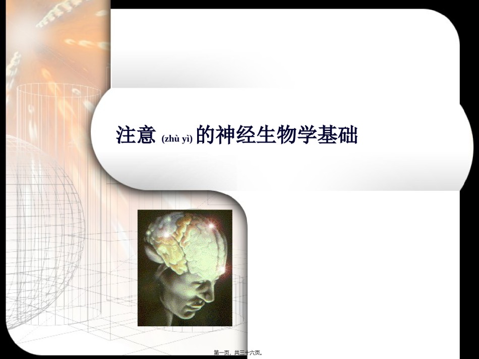 2022年医学专题—场依存-场独立与大脑功能侧化的关系的研究.ppt_第1页