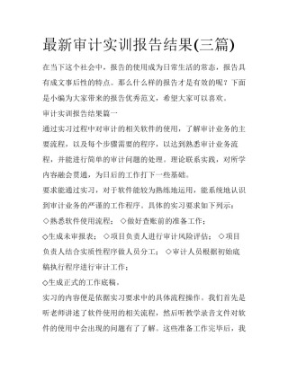 最新审计实训报告结果(三篇)
