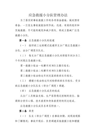2022年医学专题—成立应急救援小分队.docx