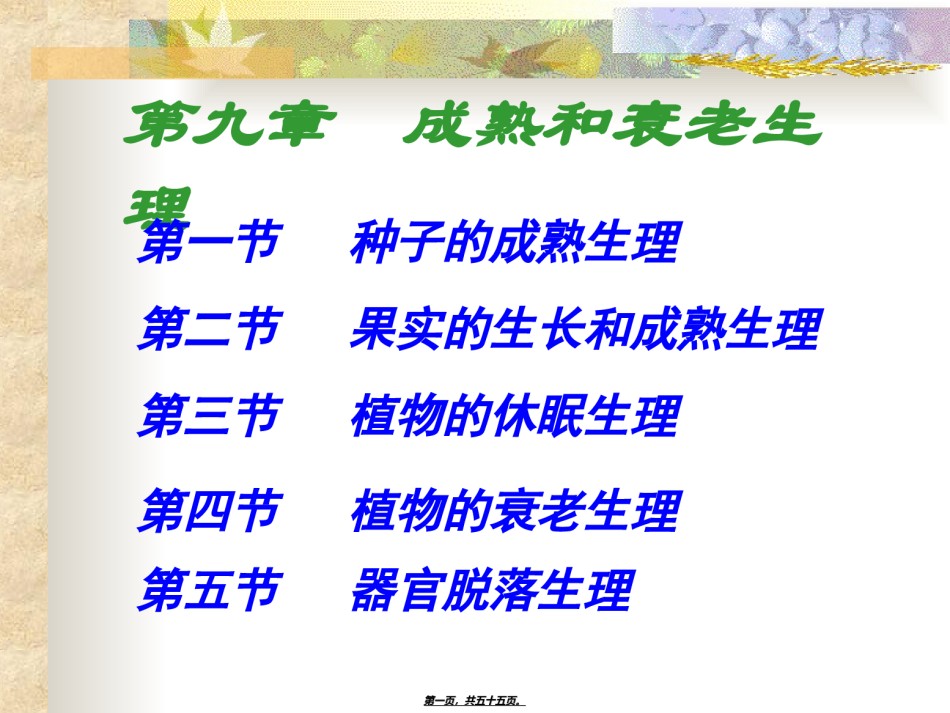 2022年医学专题—成熟和衰老生理.ppt_第1页