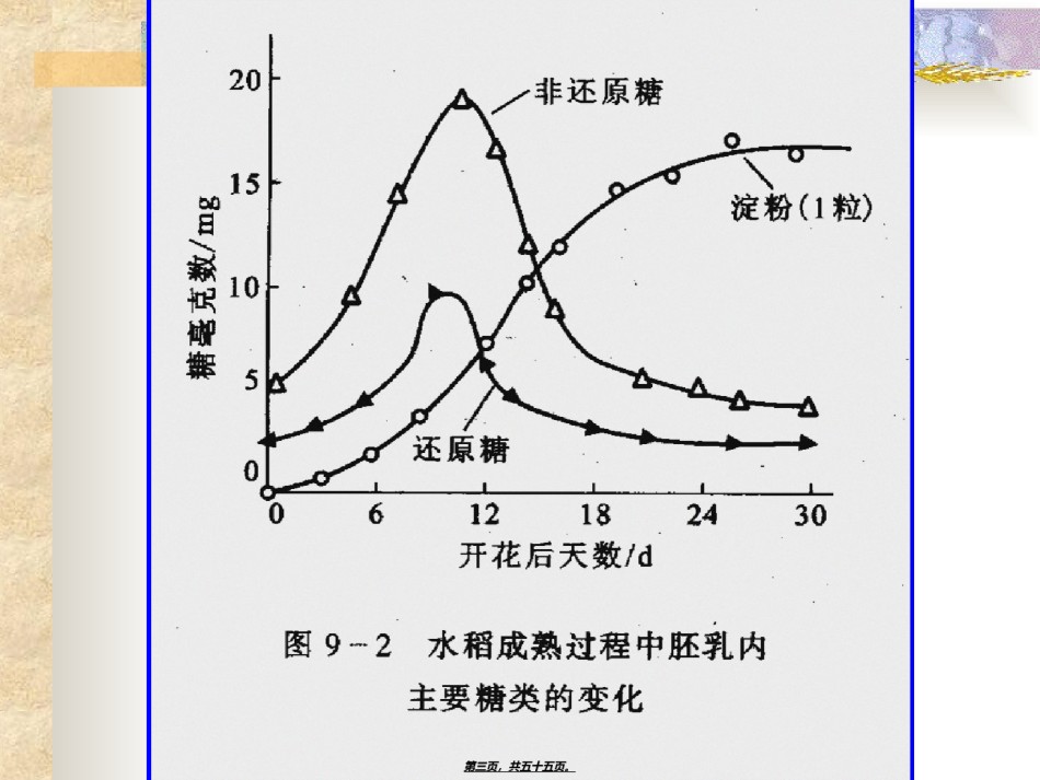 2022年医学专题—成熟和衰老生理.ppt_第3页