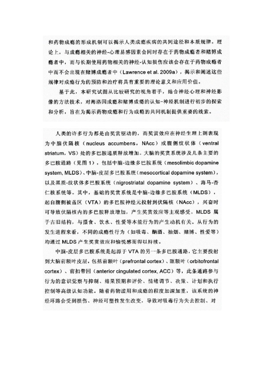 2022年医学专题—成瘾与大脑奖赏系统分析.docx_第2页
