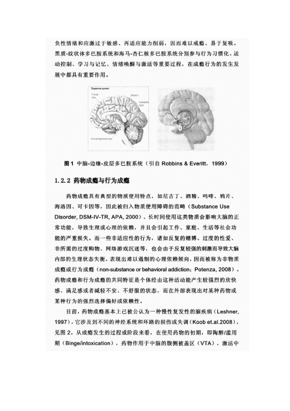 2022年医学专题—成瘾与大脑奖赏系统分析.docx_第3页