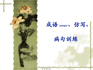 2022年医学专题—成语、仿写、病句训练PPT.ppt