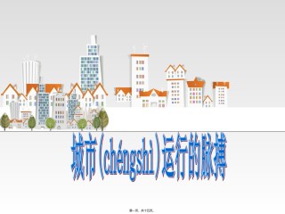 2022年医学专题—城市运行的脉搏.ppt