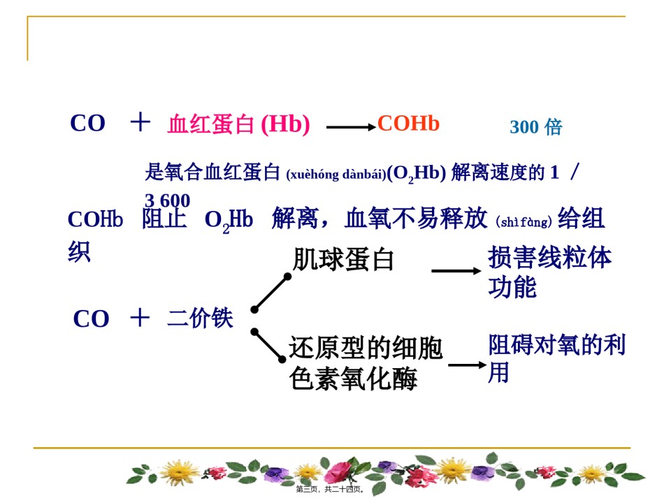 2022年医学专题—程健2014.03.21一氧化碳中毒.ppt_第3页