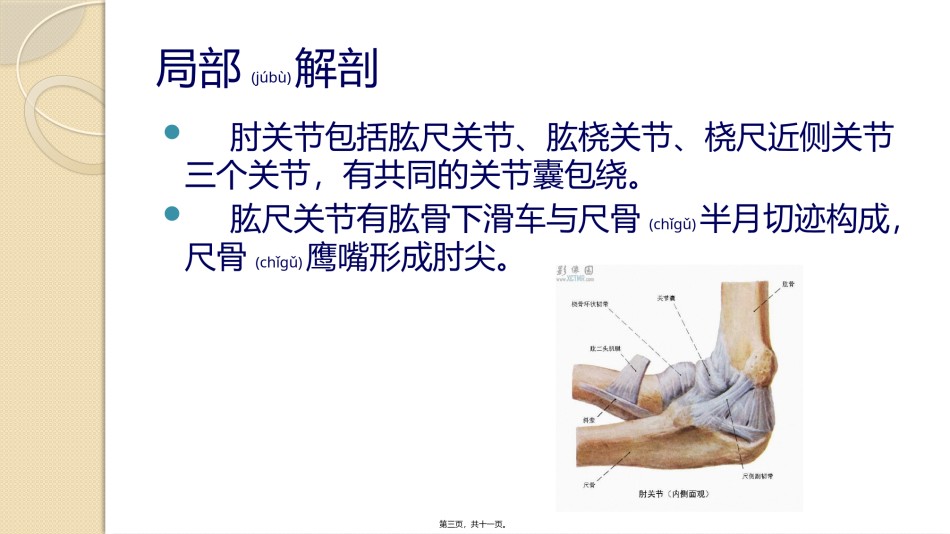 2022年医学专题—尺骨鹰嘴滑膜囊炎.pptx_第3页