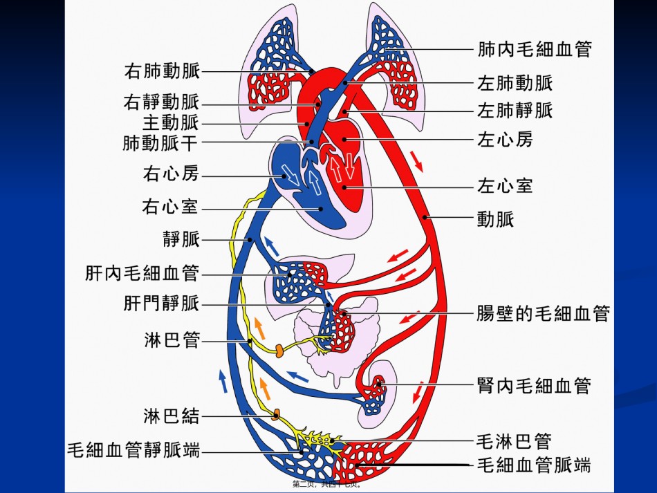 2022年医学专题—充血性心力衰竭10.06.ppt_第2页